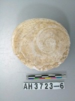 藏品(螺蓋製貝刮器)的圖片